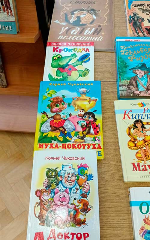 День книги