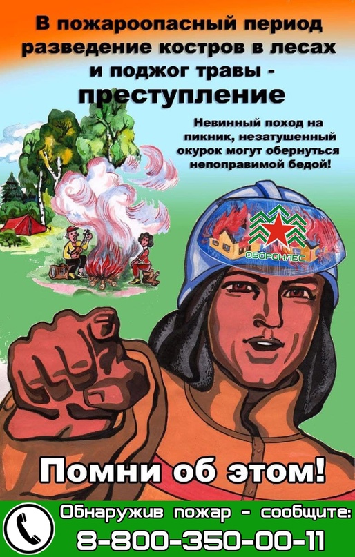 Береги лес от пожаров