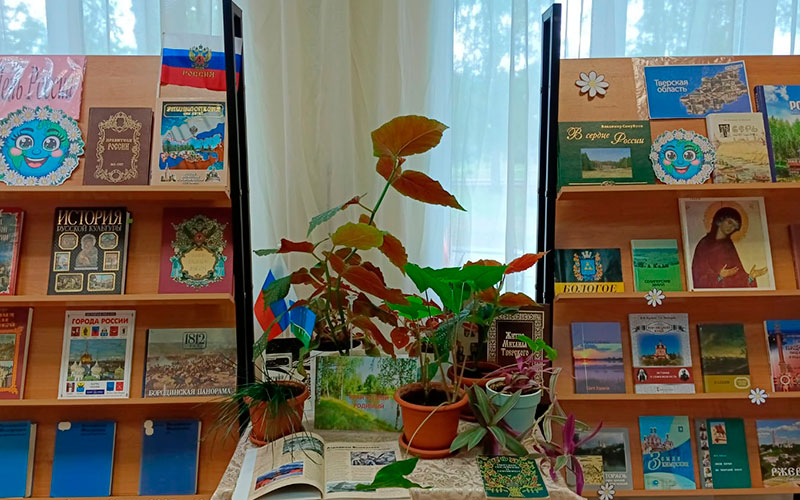 Книжная выставка «Россия: История, Культура, Подвиги» в школьной библиотеке