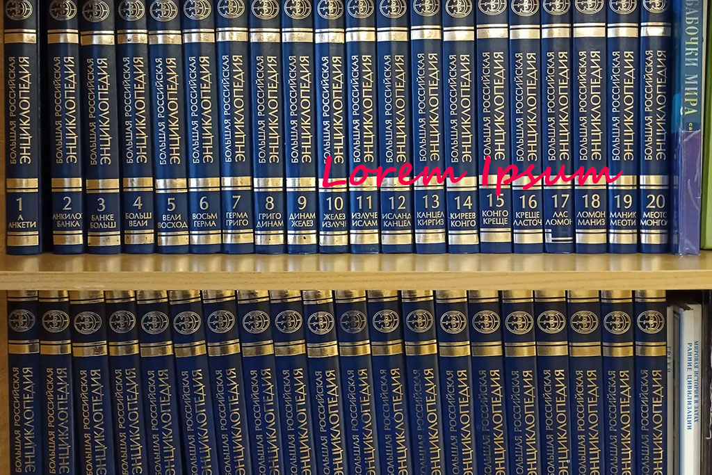 Выставка словарей