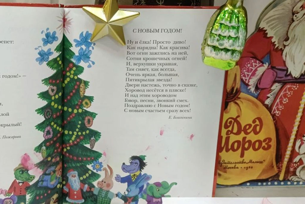 Новогодняя выставка книг